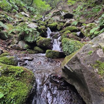 今日は少しばかり気温低め