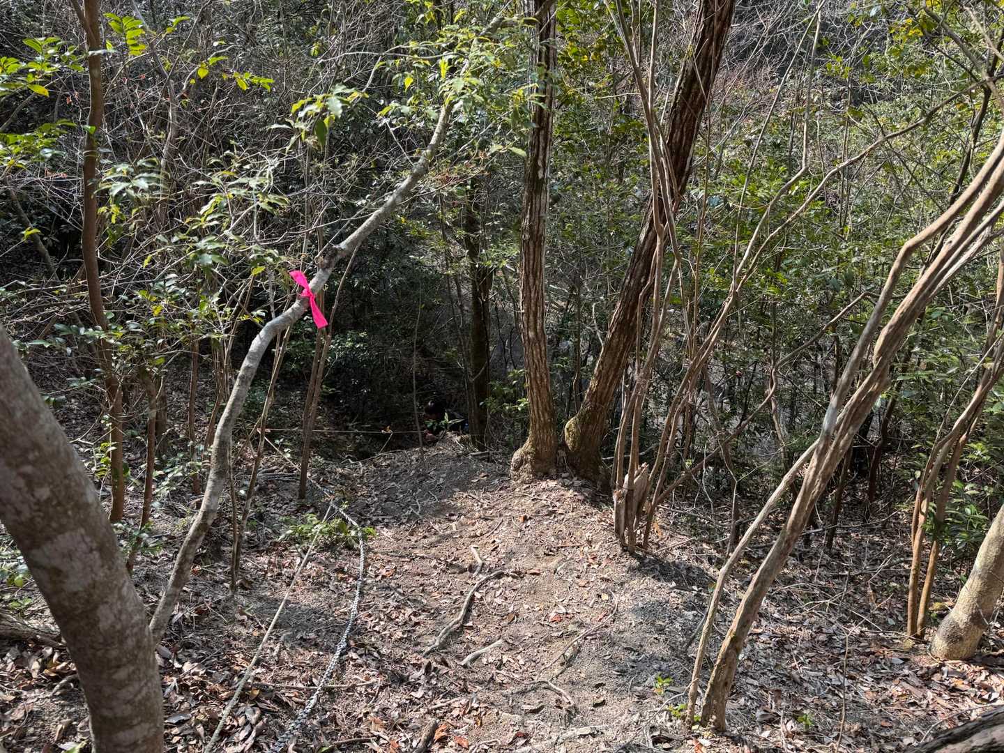 西の小明神-明神山 周回コースの写真