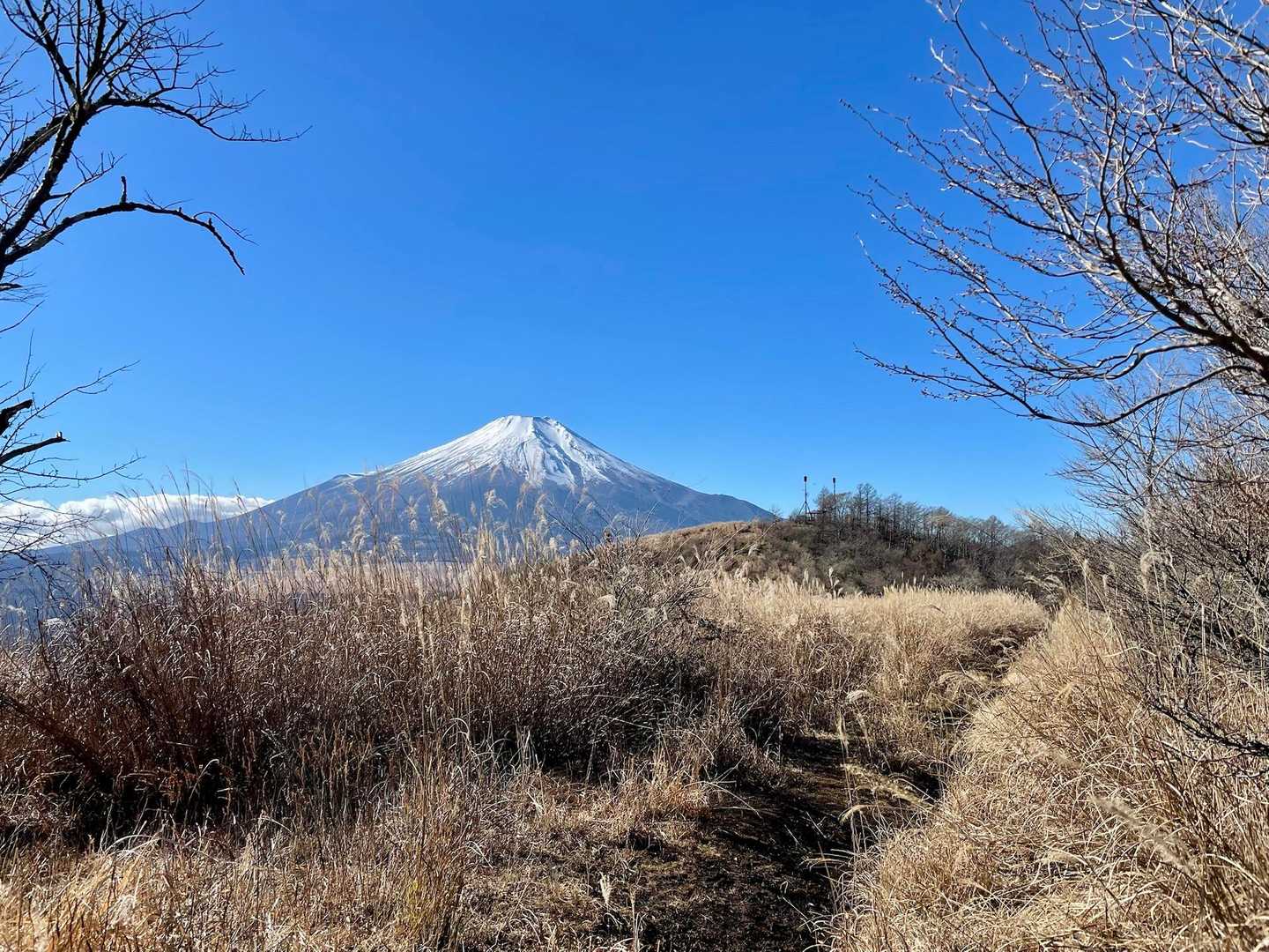 しっかり富士山