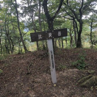 比良岳まで足を伸ばしたが、結構、体力が奪われてた。ピストンの帰りに堂満岳を予定してたが、持ち越しに