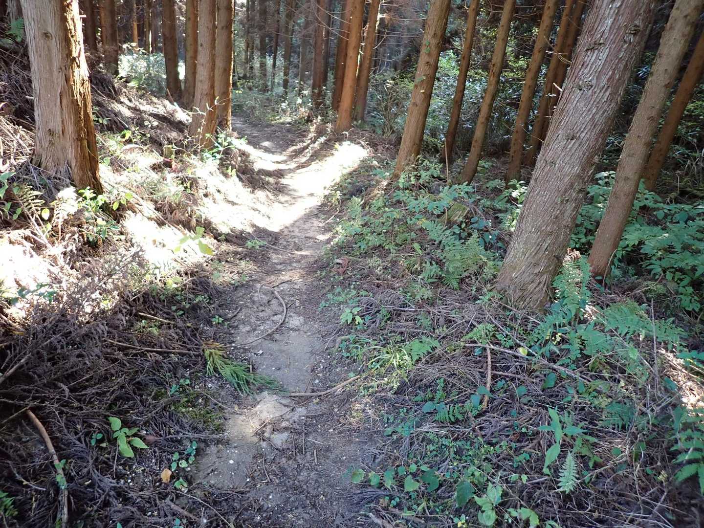 滑らない様に…