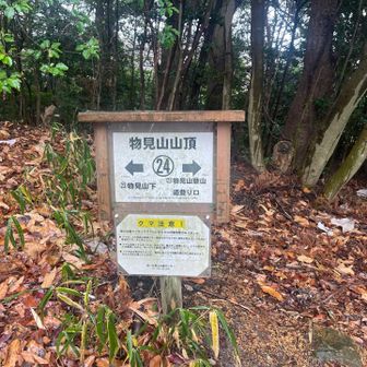 物見山の山頂標札は、新しいのは、やはり無いねぇ🥲

この標札は、前の見てるから味気ないわ😅
