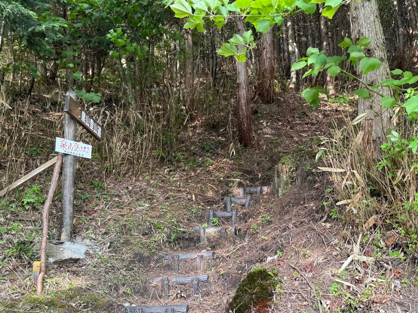 笠菅峠-泉山-中央峰-井水山 往復コースの写真