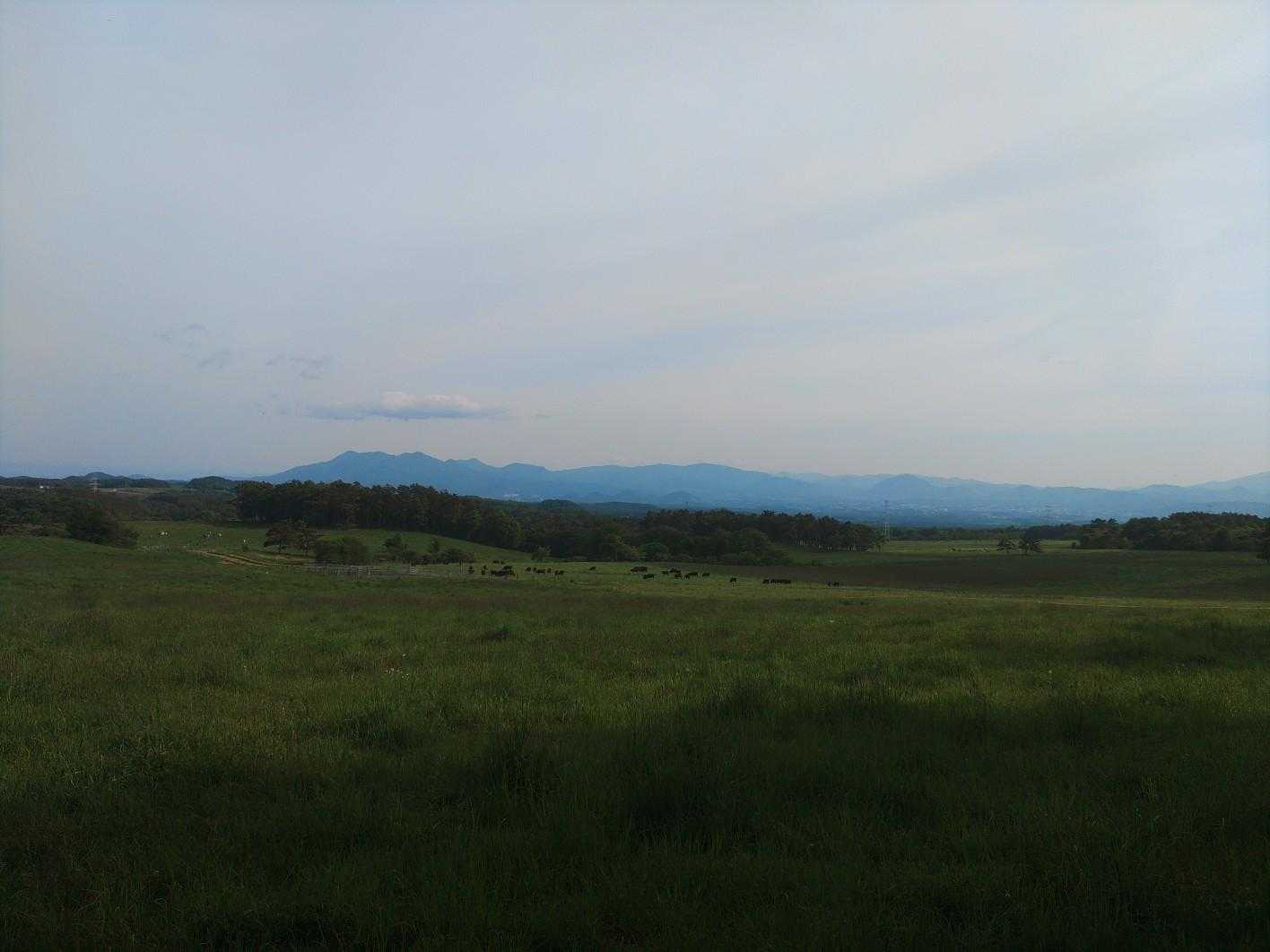 北海道感。