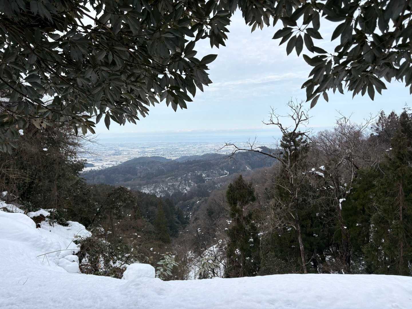 城ヶ平山大岩側登山口-城ヶ平山 往復コースの写真