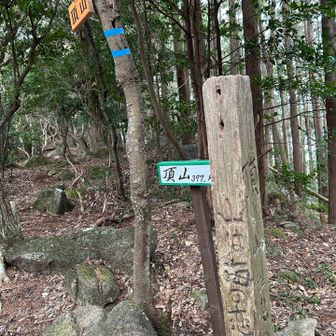 山頂頂山
上から読んでも下から読んでも〜