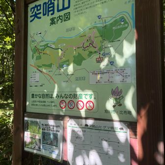 戻りました