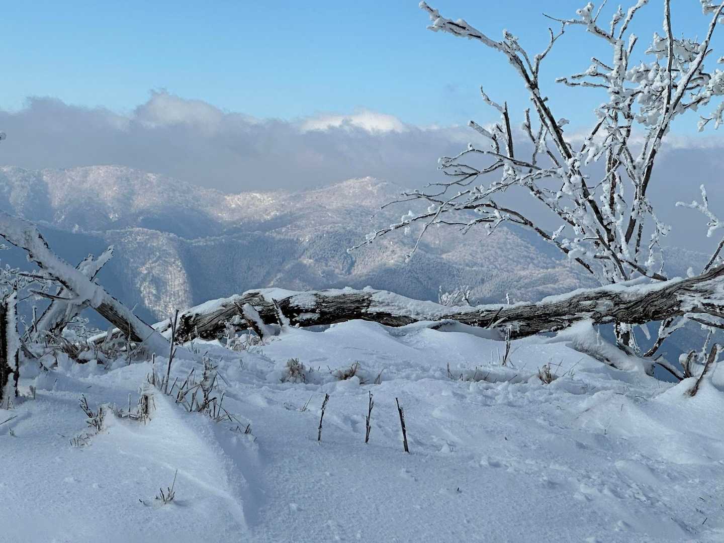 向坂山から白岩山へ進む。
雪が深くて、歩くのもたいへん。
でも、、なんか嬉しい😃
途中、国見岳が、見える😆