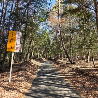だいたいこんな狭い道