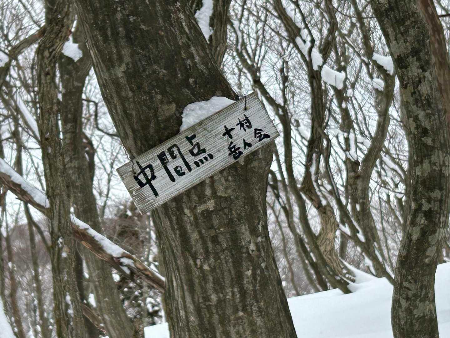これ案外がっかりする😅