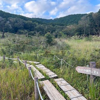 この分岐から山の方へ向かいます