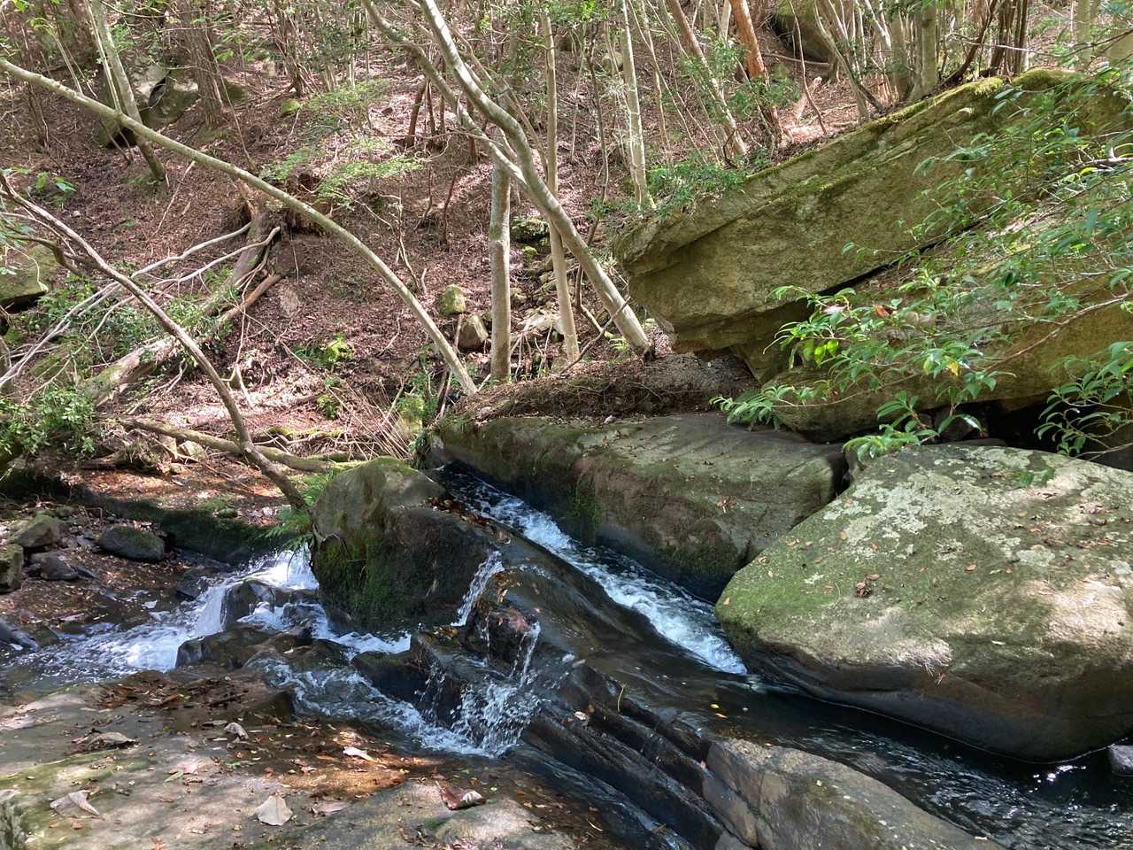 【るり渓】清らかな水の流れと岩や淵が織りなす豊かな景観の写真