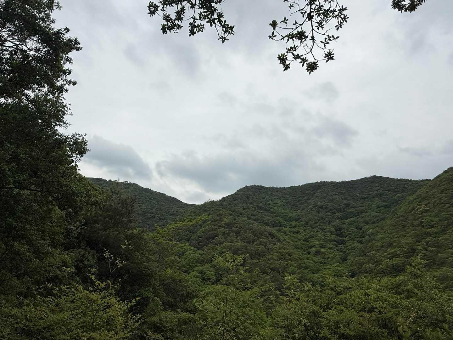 稜線が見渡せ、秘密基地っぽい感じにわくわくします😁
