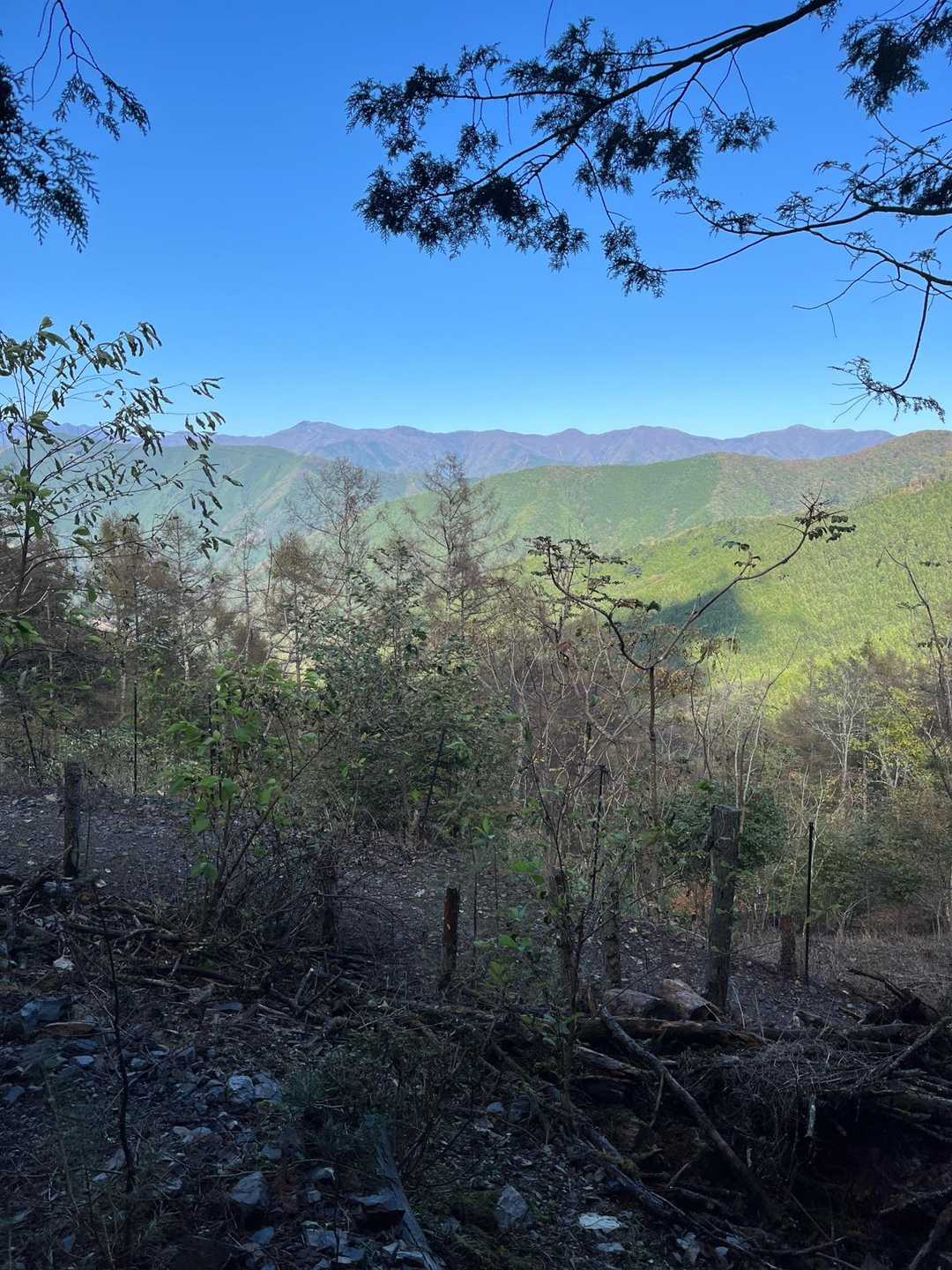 鶴峠-奈良倉山 往復コースの写真