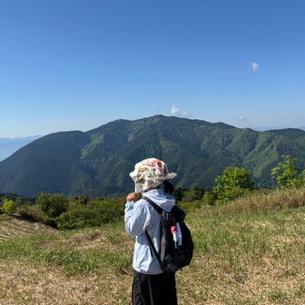 夢実