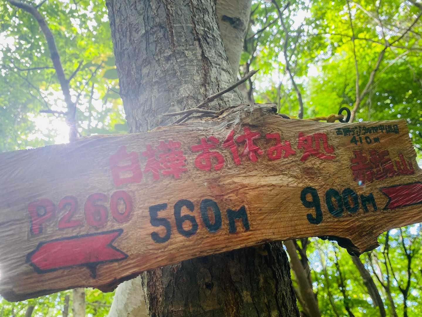 赤坂山登山口-赤坂山 往復コースの写真