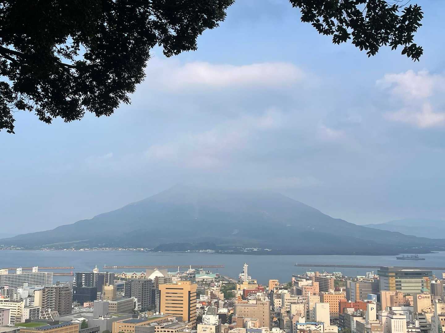 城山展望台からの桜島⛰️
山頂付近に雲☁️があるけど綺麗🤩