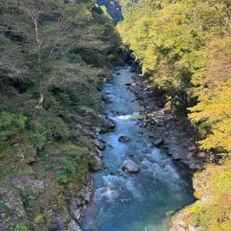 登竜橋からの眺望
この辺りの紅葉はもう少し先のようです🍁