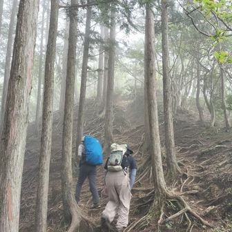 そこそこの急登
青いザックカバーの女性はトレーニングのため鉄アレイや水で調整し約10kg背負ってます💪