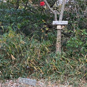 松尾山山頂　三角点