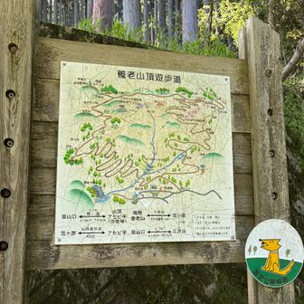 周回してきました