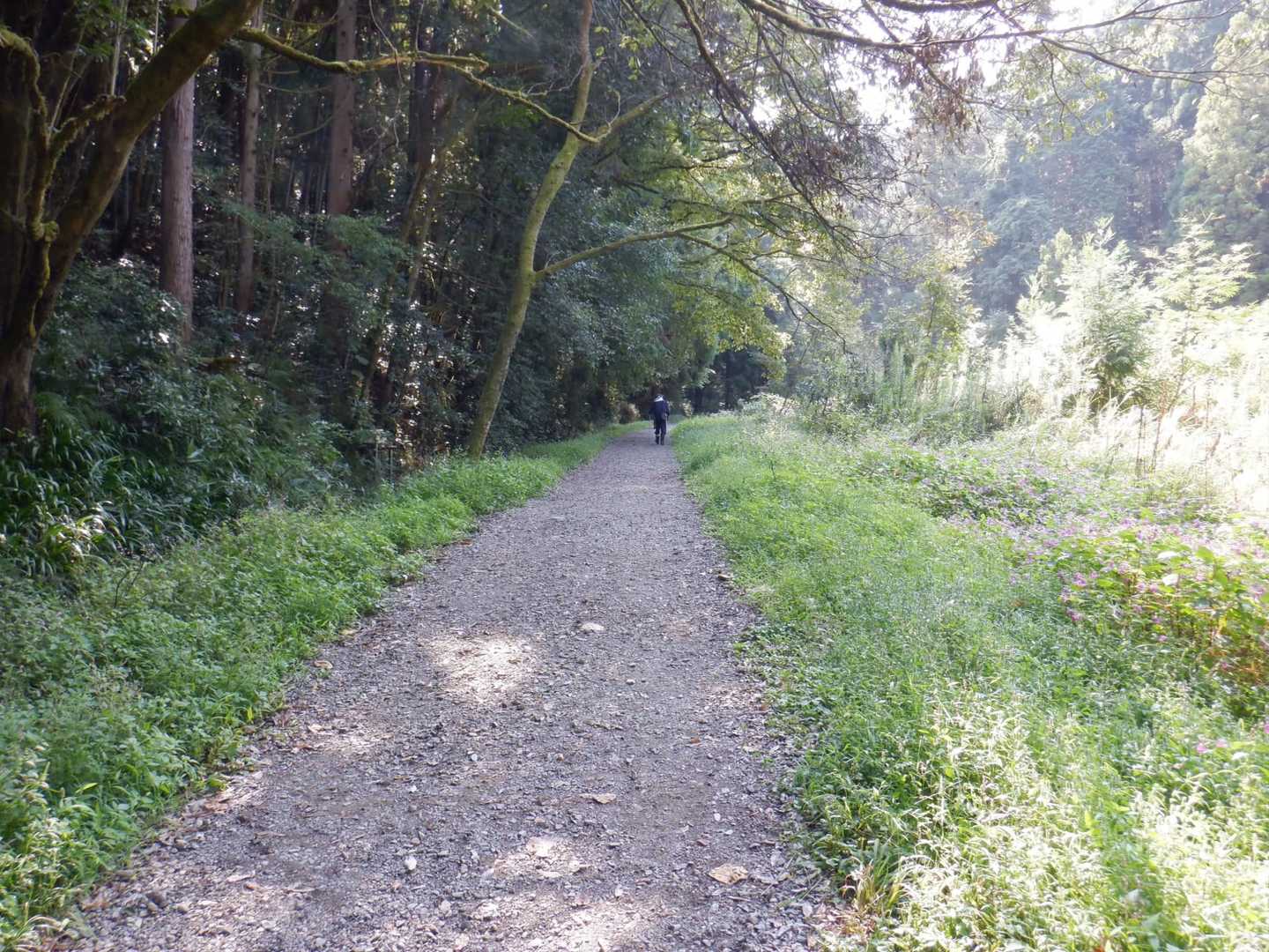 9:51スタート
久しぶりに頑張ってみます🏃