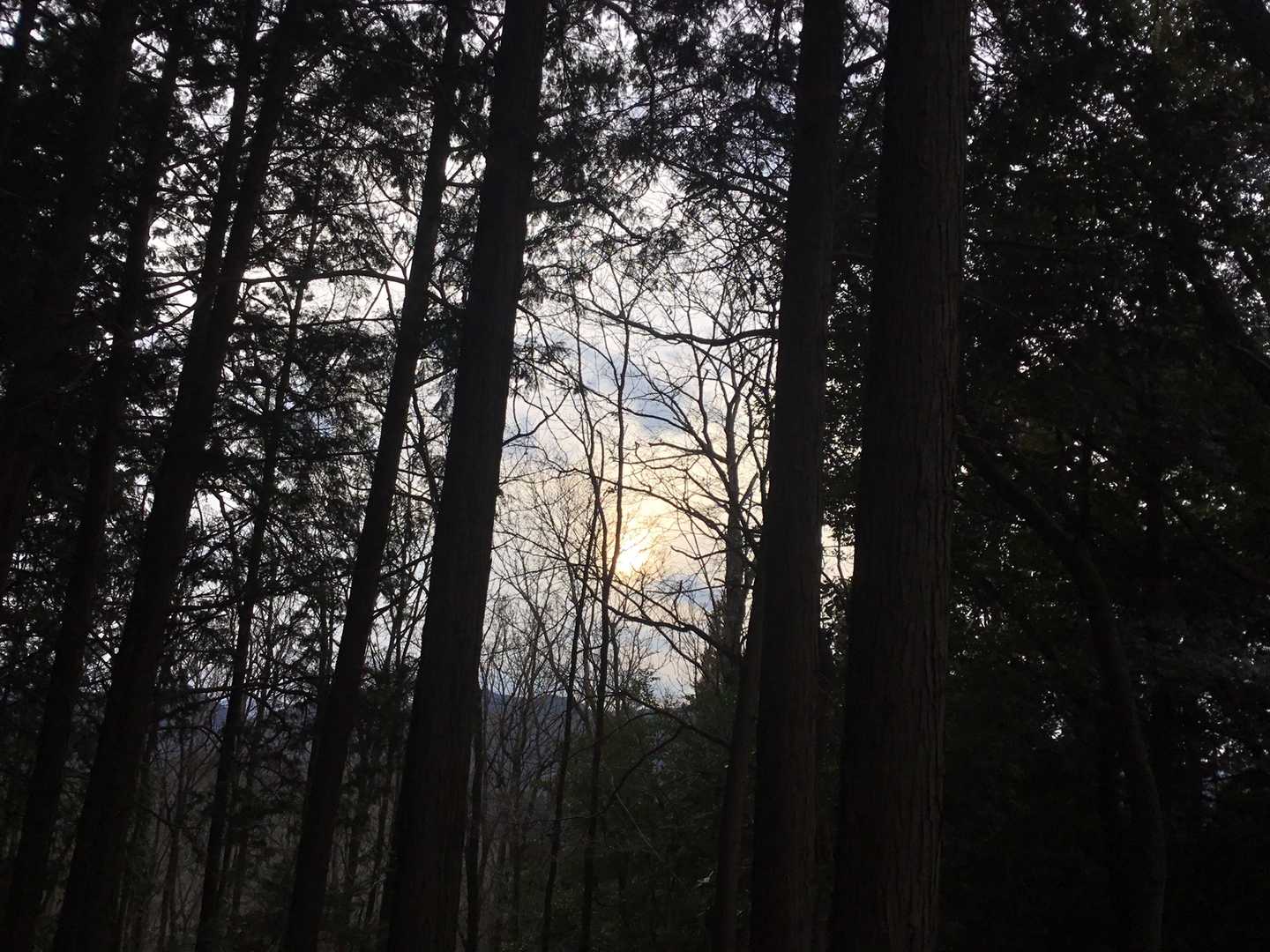田代山（大分県）の写真