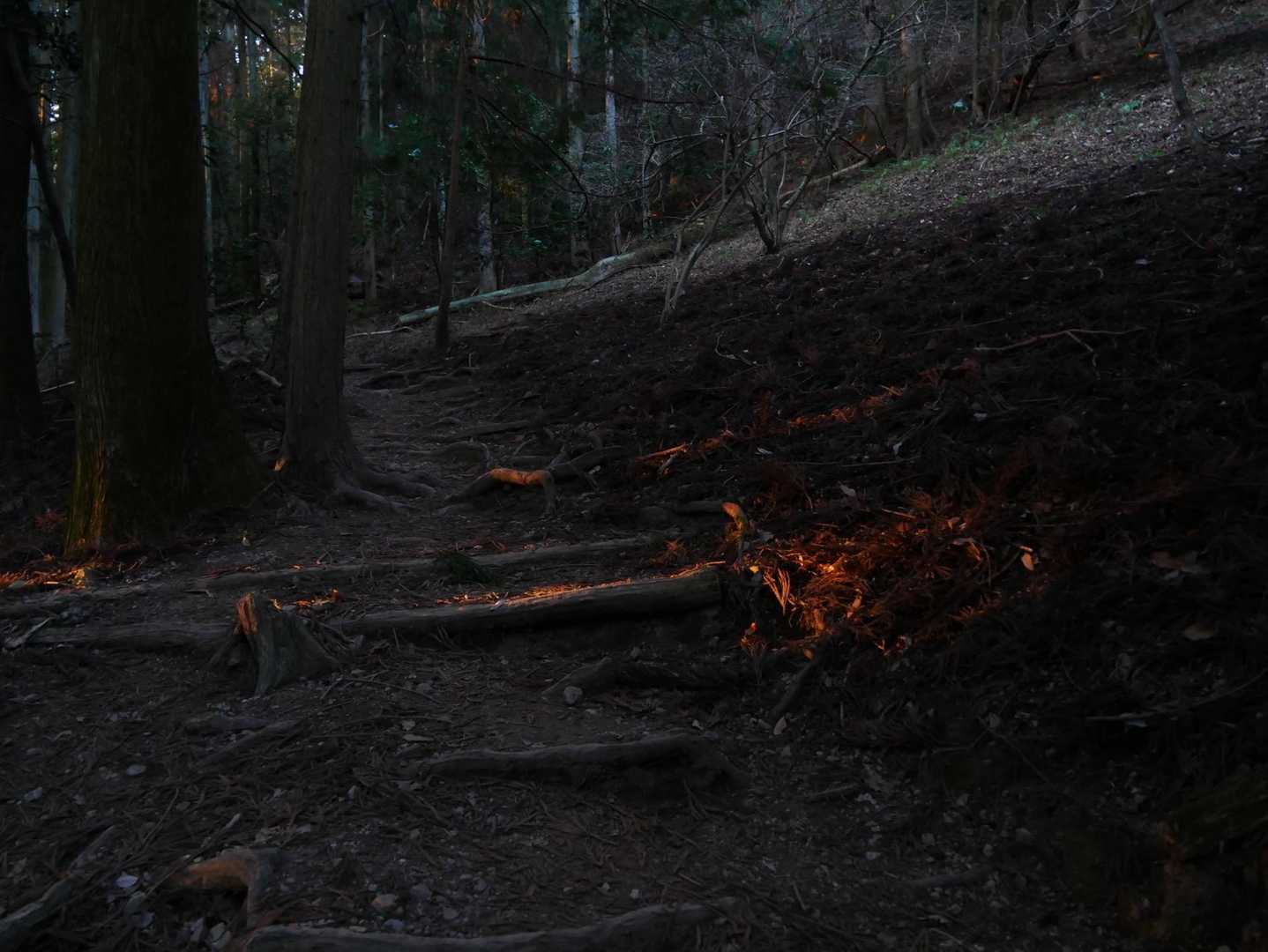 燃えてるように見えませんか❓