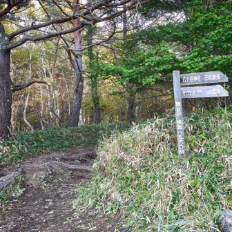 観音平登山口
