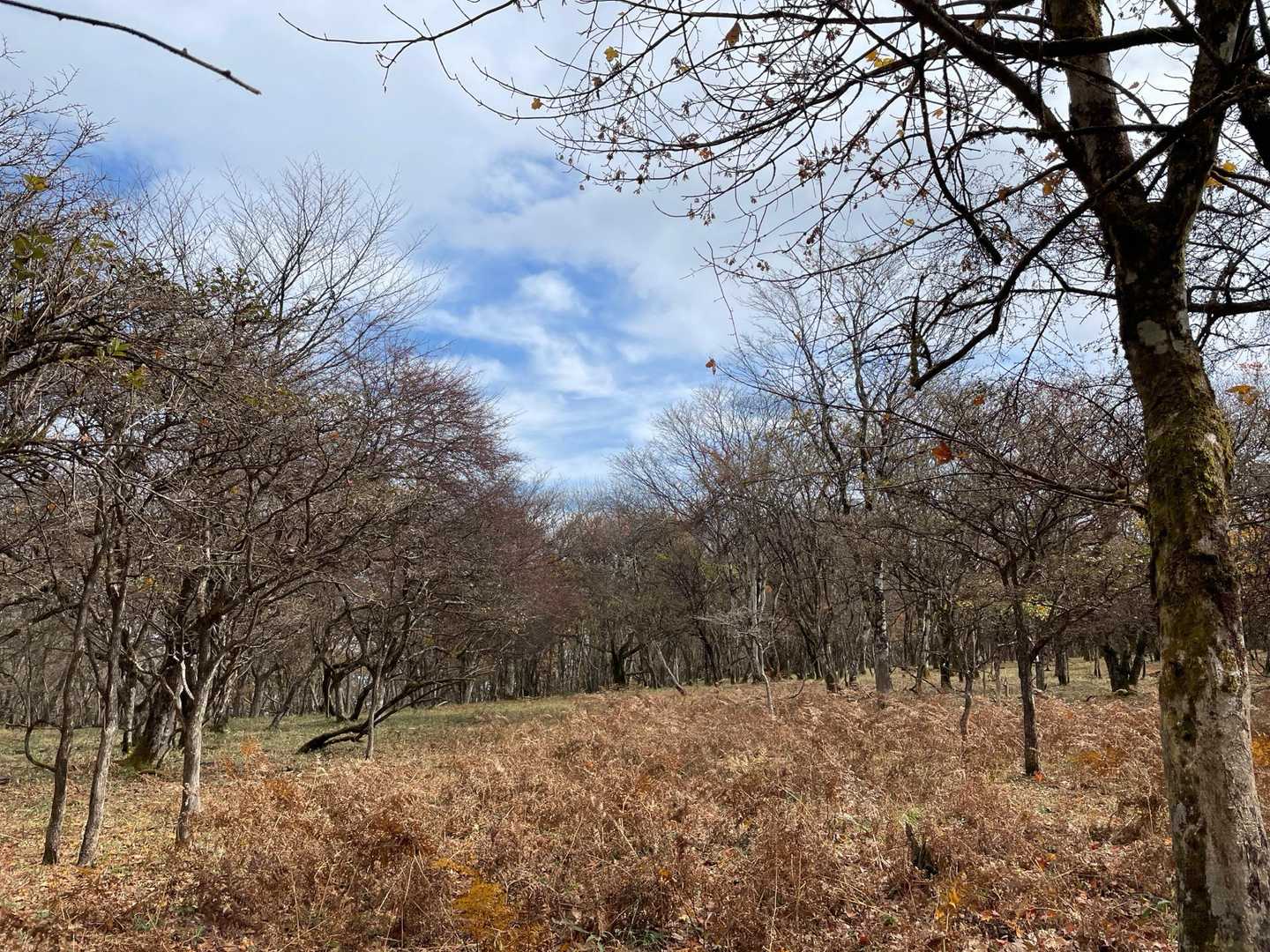 あら❗️少し青空が😊みえてきたよ😙
期待出来るかしら😄
