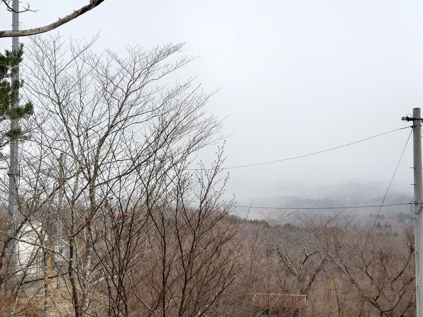 雪❄だ🥶
帰ろう👋👋