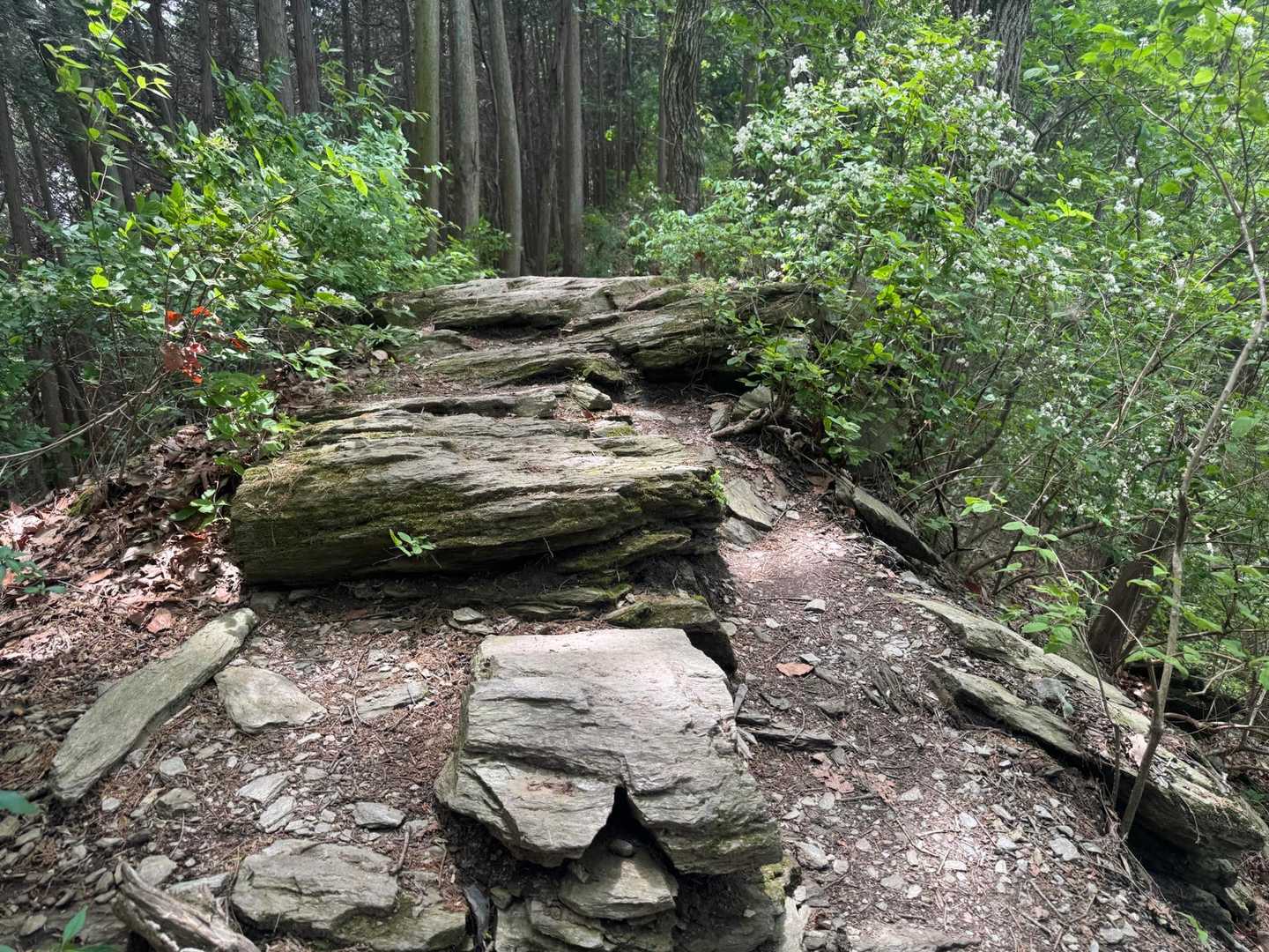 特徴的な岩を超えて、しばらく進むと最後の急坂