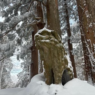 久しぶり🐕‍🦺また近いうちに来るけぇ〜👋