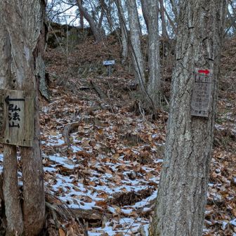 下る所は特に注意してビビりながら進むと😅悩ましい分岐。
ちょっと右は下りで危険な感じなのでとりあえず左😥
