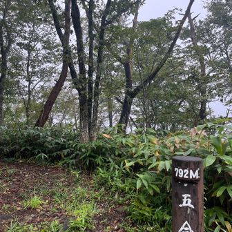 5合目~