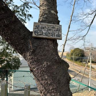 愛宕山
足百です
🦵🦵💯