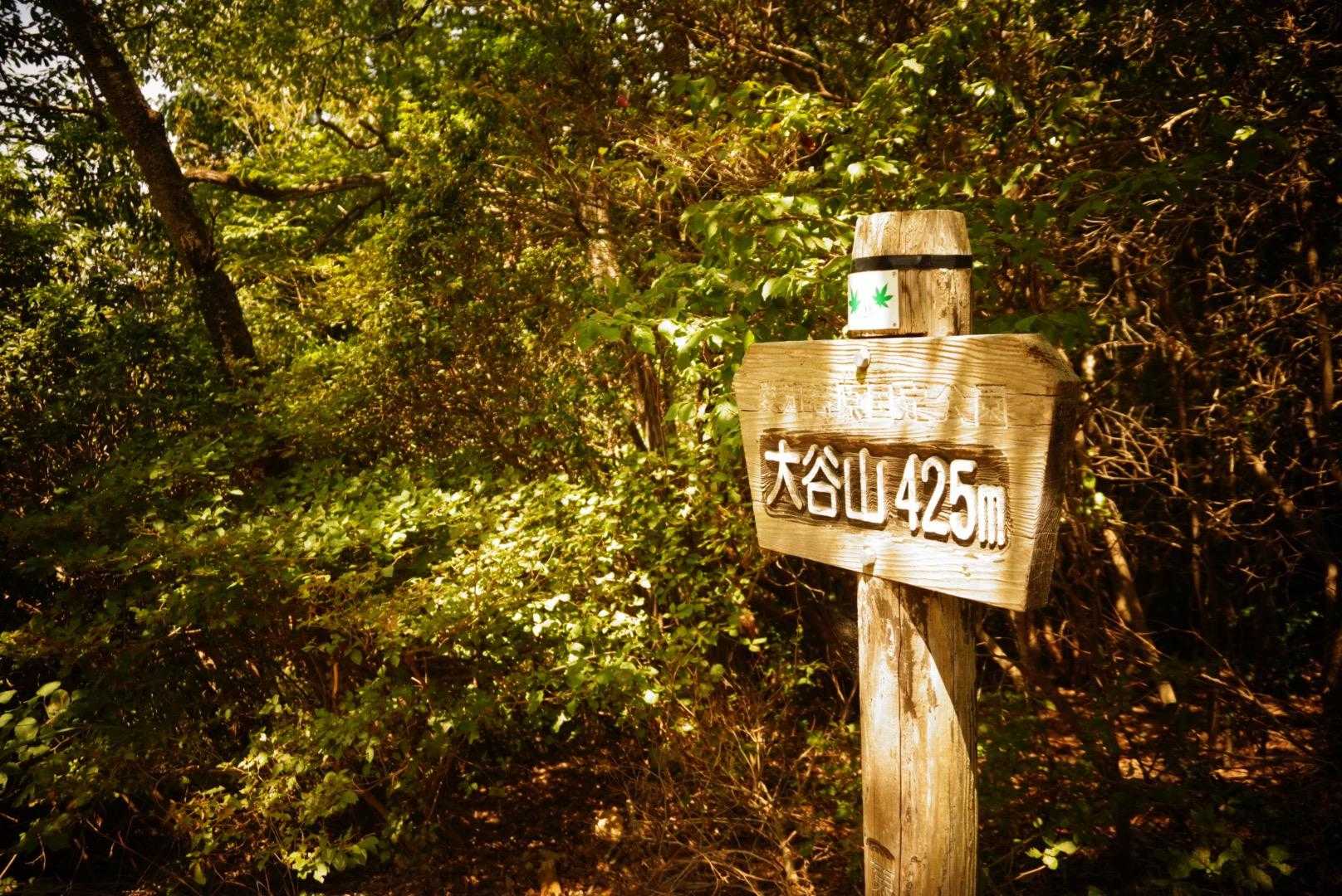 道樹山登山口-道樹山-大谷山 往復コースの写真