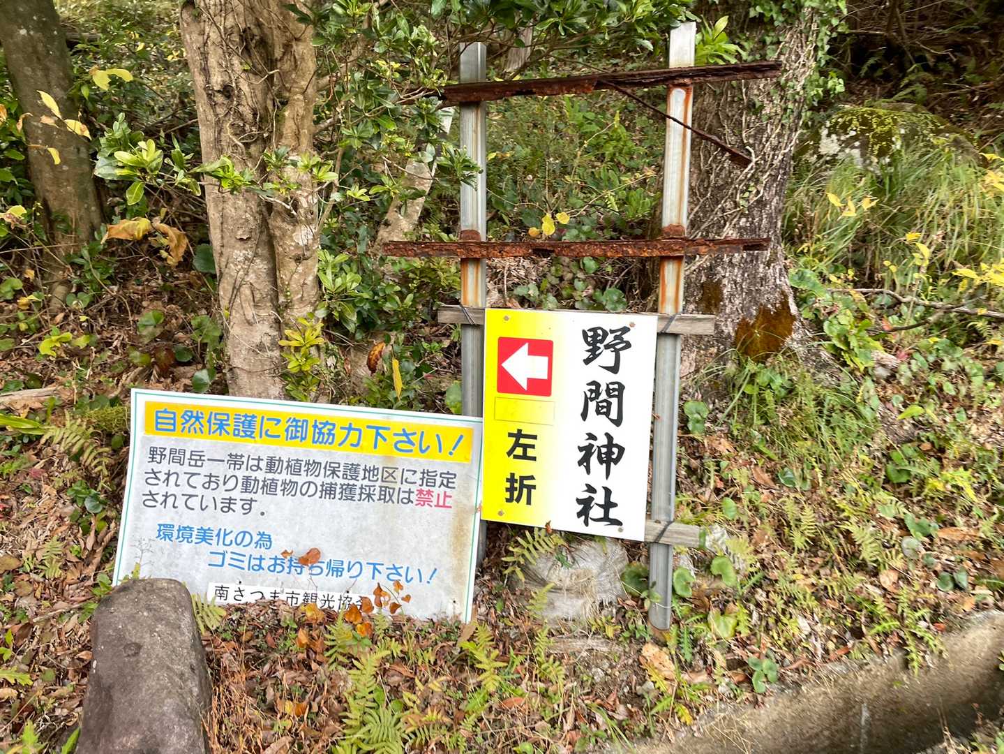 林道を約1km。下って上って🚶‍♀️テクテク