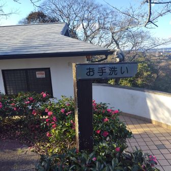 りす🐿️本物もいたら…