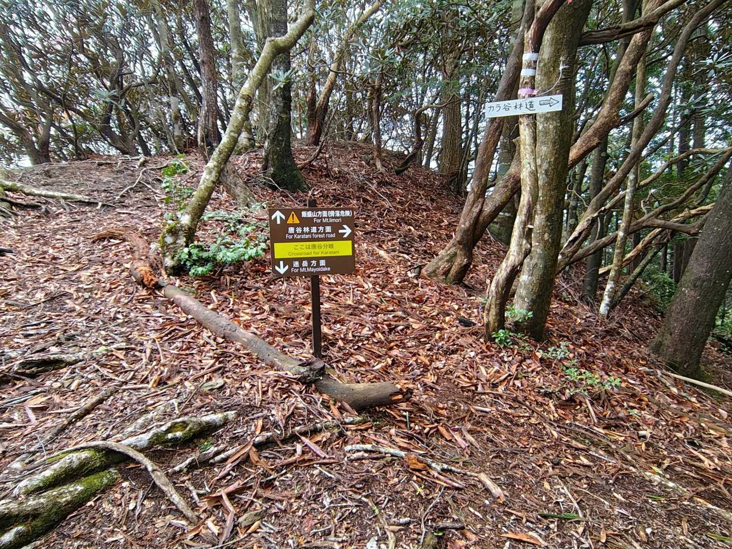 やっと分岐点に到着😄
ここまで急登多く疲れました😥