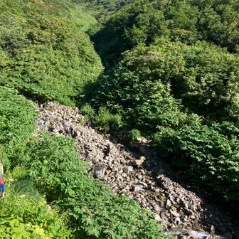 沢まで降りるようです
下山時この登り返しが🥵一番堪えました