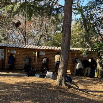 バードウォッチング🦜