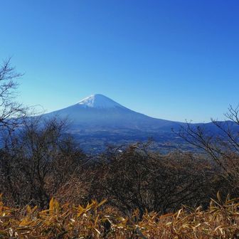 また来ますね😊