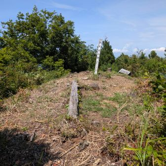 比較的狭い山頂には標柱と倒れた山座同定盤と三角点の他、山頂札、ベンチ代わりの朽ちかけた丸太、展望は富山市方向と金剛堂山、枝の隙間から高峰のアンテナ群が望めます。
