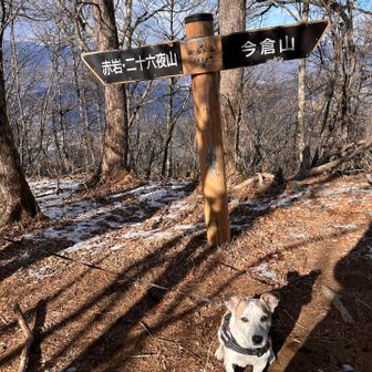 本日の最高点？