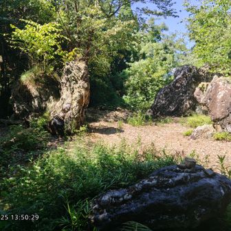 灰山庭園(三井寺の庭園)
