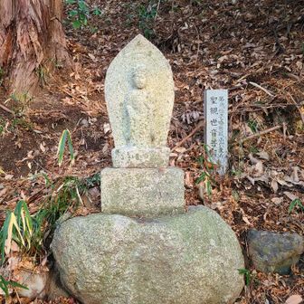 【第二十一番 菩提山穴太寺】
𑁍聖子観音菩薩さま