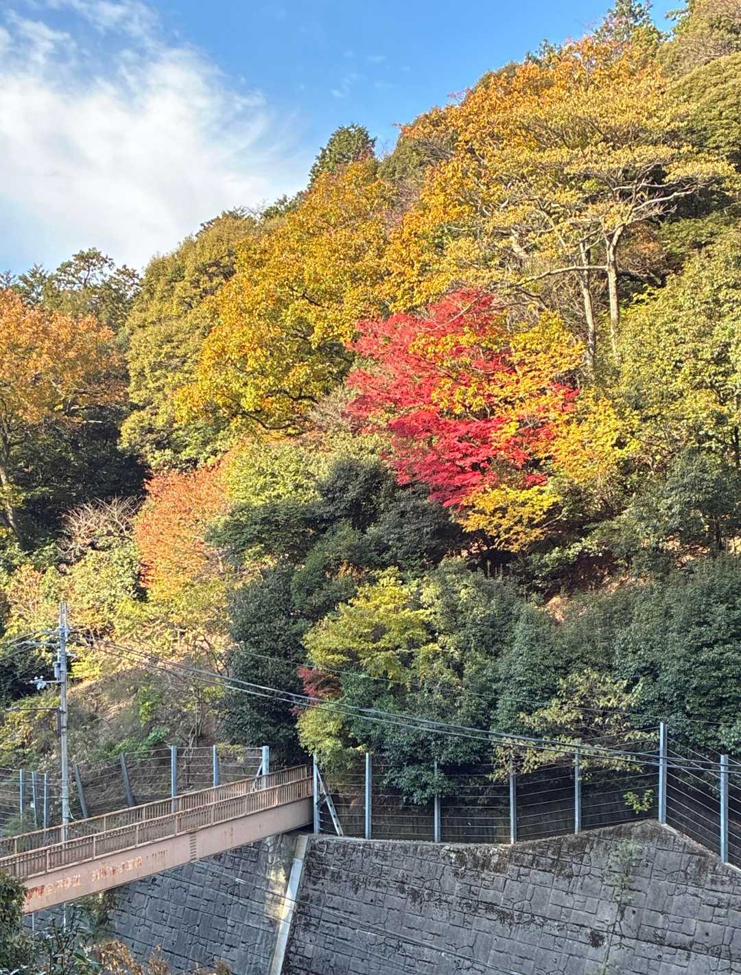 もうすぐ大谷駅