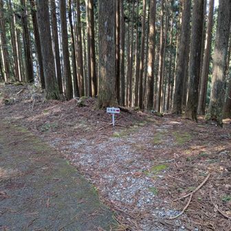 散策路へ行ってみます