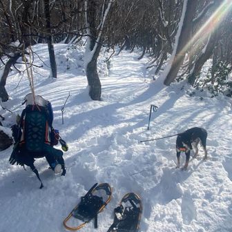 無理。とてもじゃないけど雪が深い
10cmは積もってるわ
ワカンを履きます